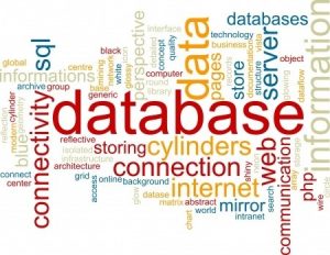 data-base-dwmp-data-management